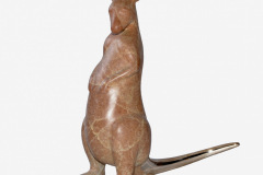 Kangaroo